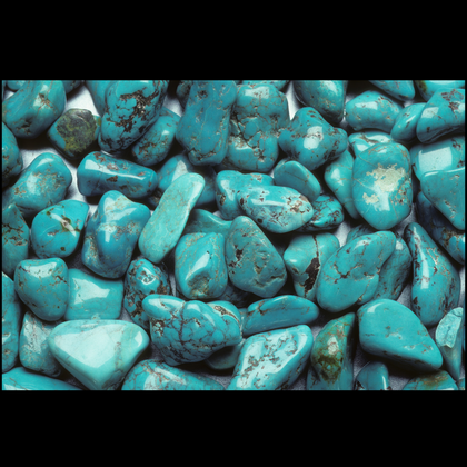 Phosphate Family - Rock Your World