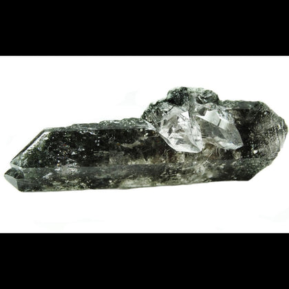 Chlorite Family - Rock Your World