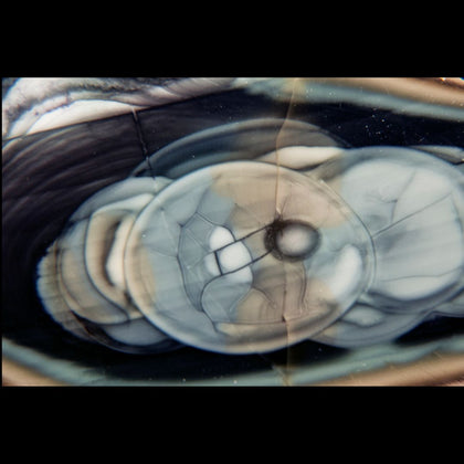 Fine Jasper - Rock Your World