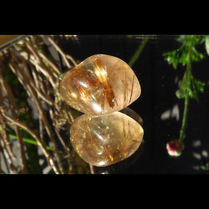 Oxide Family - Rock Your World