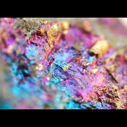 Sulfide Family - Rock Your World