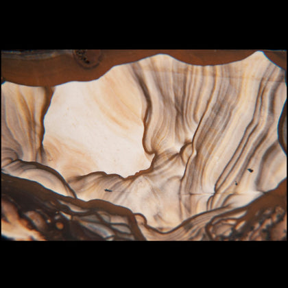 Picture Jasper - Rock Your World