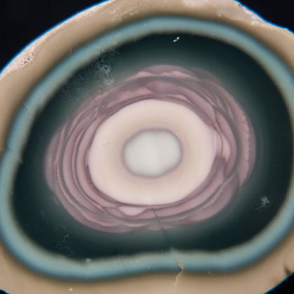 Imperial Jasper - Rock Your World