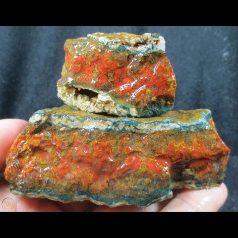 Red and green Moroccan seam agate with vivid patterns held in a hand