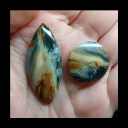 Jammie Pants Jasper - Rock Your World