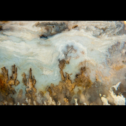 Plume Agate - Rock Your World