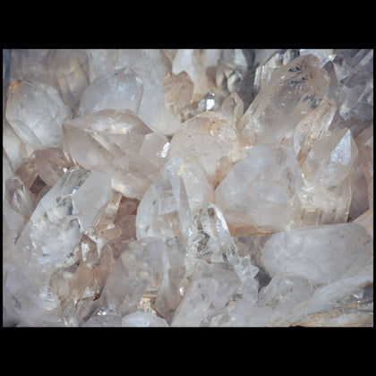 Quartz Family - Rock Your World