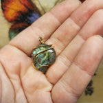 Carved Rainbow Labradorite Ammonite Shell Pendant in 14kt Yellow Gold Fill