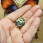 Carved Rainbow Labradorite Ammonite Shell Pendant in 14kt Yellow Gold Fill