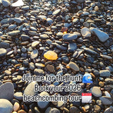 Beachcombing Tours with Laura Joki