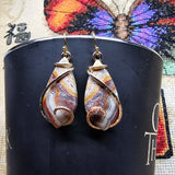 Crazy Lace Agate Earrings in 14kt Yellow Gold Fill - Rock Your World