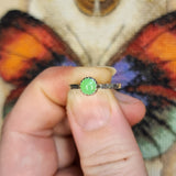 Lime Green Jadeite Jade Ring in Sterling Silver Sz 7.25