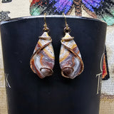 Crazy Lace Agate Earrings in 14kt Yellow Gold Fill - Rock Your World
