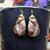 Crazy Lace Agate Earrings in 14kt Yellow Gold Fill - Rock Your World