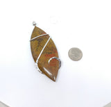 The Prettiest Piece of Sh*t You Will Ever See! Dino Poop Fossil Coprolite Stone in Sterling Silver - Rock Your World