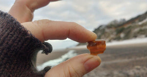 Where to Find Cool Rocks In Oregon: Rockhounding the Central Oregon Coast