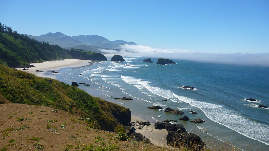 Embarking on an Unforgettable Journey: The Ultimate Oregon Coast Road Trip