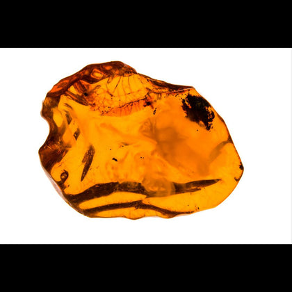Translucent piece of amber stone on white background