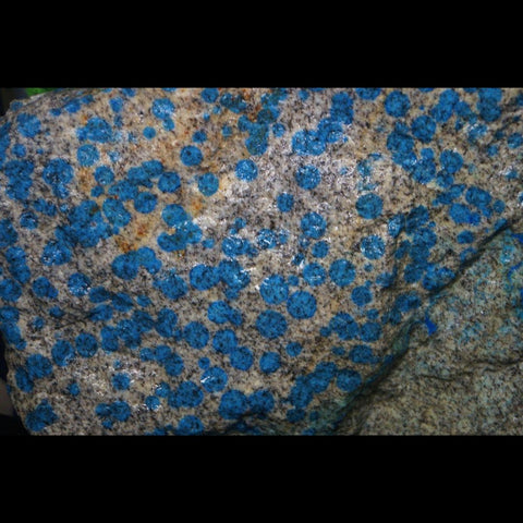 White and black speckled rocks with medium blue dots all over it. 