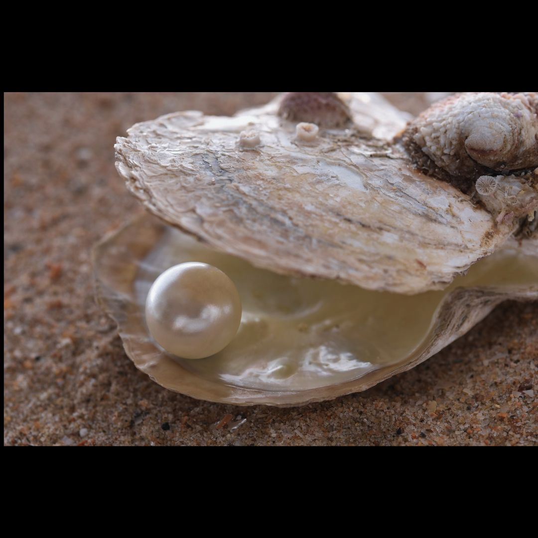 Pearl – Rock Your World