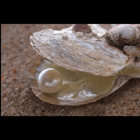Large round smooth white pearl sitting in an open oyster shell on a sandy base. 