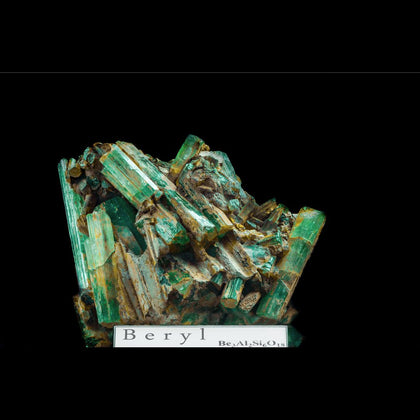 Large cluster oflong emerald green beryl crystals on a black background