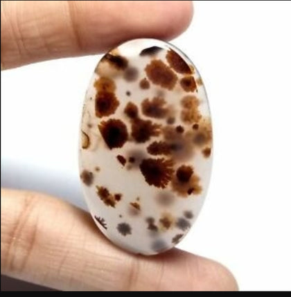 what the ****Montanna moss agate cabochon with brown dendrites held between two fingers