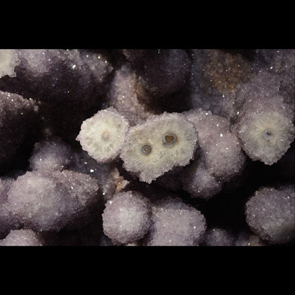 Purple crystals on stalks from growing as hanging drops