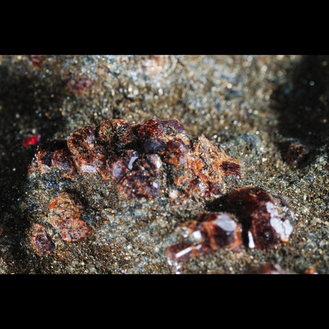 red garnet crystals in a brown host rock