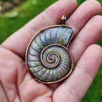 Carved Rainbow Purple Labradorite Ammonite Shell Pendant