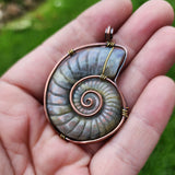 Carved Rainbow Purple Labradorite Ammonite Shell Pendant