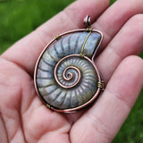 Carved Rainbow Purple Labradorite Ammonite Shell Pendant