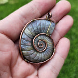 Carved Rainbow Purple Labradorite Ammonite Shell Pendant