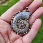 Carved Rainbow Purple Labradorite Ammonite Shell Pendant