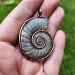 Carved Rainbow Purple Labradorite Ammonite Shell Pendant