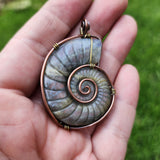 Carved Rainbow Purple Labradorite Ammonite Shell Pendant