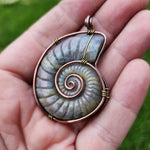 Carved Rainbow Purple Labradorite Ammonite Shell Pendant