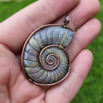 Carved Rainbow Purple Labradorite Ammonite Shell Pendant