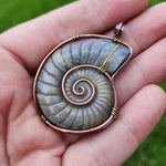 Carved Rainbow Purple Labradorite Ammonite Shell Pendant