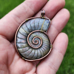 Carved Rainbow Purple Labradorite Ammonite Shell Pendant
