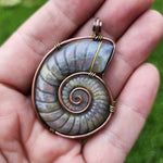 Carved Rainbow Purple Labradorite Ammonite Shell Pendant