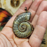 Carved Rainbow Purple Labradorite Ammonite Shell Pendant