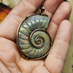 Carved Rainbow Purple Labradorite Ammonite Shell Pendant