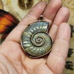 Carved Rainbow Purple Labradorite Ammonite Shell Pendant