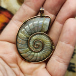 Carved Rainbow Purple Labradorite Ammonite Shell Pendant