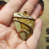 Oregon Vistaite Jasper Pendant in Copper