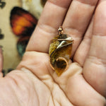 Carnelian Oregon Graveyard Point Plume Agate Pendant Necklace in 14kt Rose Gold Fill