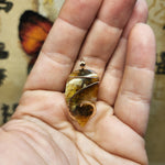 Carnelian Oregon Graveyard Point Plume Agate Pendant Necklace in 14kt Rose Gold Fill
