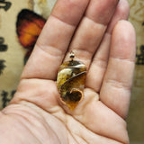 Carnelian Oregon Graveyard Point Plume Agate Pendant Necklace in 14kt Rose Gold Fill