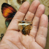 Oregon Graveyard Point Plume Agate Pendant Necklace in 14kt Yellow Gold Fill